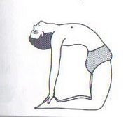 ustrasana